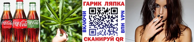 Canna-Cookies марихуана  хочу   мега сайт  Каргополь 