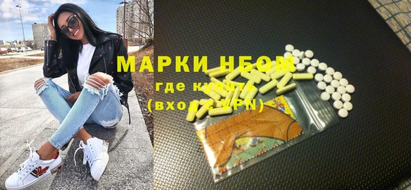 гашик Верея