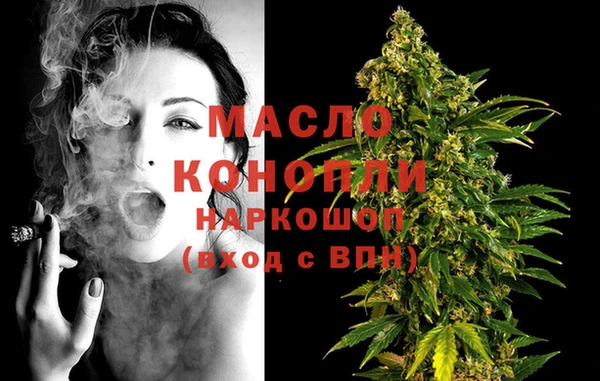 гашик Верея