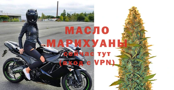 гашик Верея