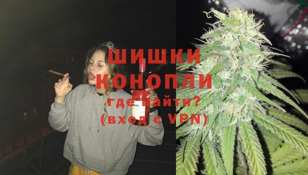 гашик Верея