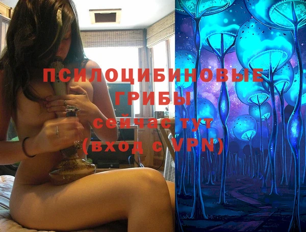 гашик Верея