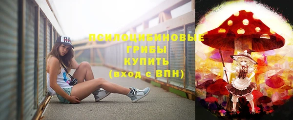 гашик Верея