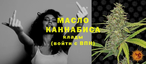 гашик Верея