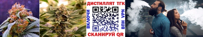 наркотики  Каргополь  Дистиллят ТГК вейп с тгк 