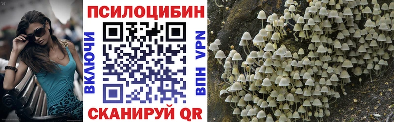 Галлюциногенные грибы ЛСД  ОМГ ОМГ как зайти  Каргополь  купить наркоту 